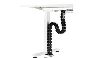 Elevate Vértebra